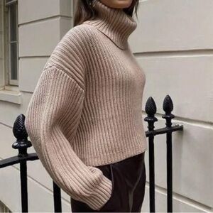 Aritzia Babaton Guell Cropped Turtleneck Sweater